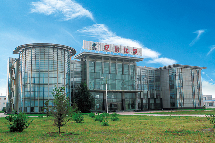 内蒙古亿利化学工业有限公司
