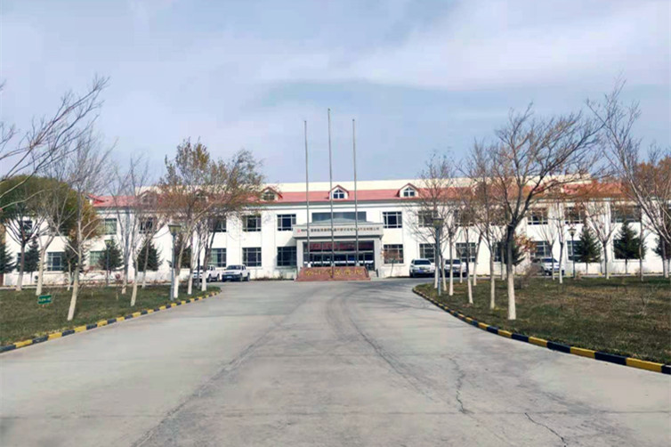 新疆国电